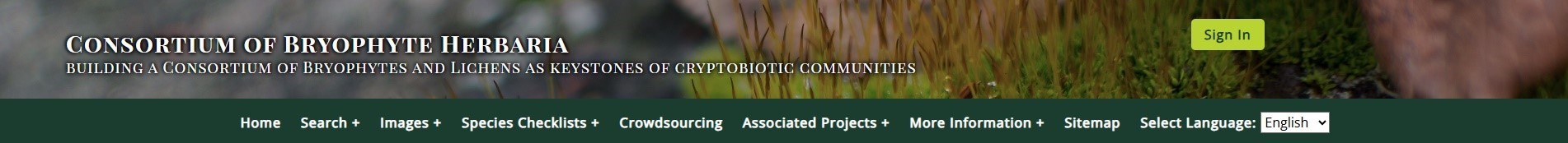 consortium of bryophyte herbaria 