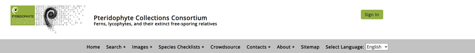 pteridophyte collections consortium